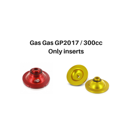 S3 Gas Gas GP-2017-Inserts 300cc for original head cover GGINS2017