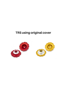 S3 TRS Inserts using original head cover TRSINS