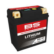 BS BATTERY Battery Lithium-Ion - BSLI-01 1077868 360101 30000017
