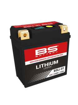 BS BATTERY Battery Lithium-Ion - BSLI-01 1077868 360101 30000017