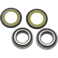 ALL BALLS Steering Stem Tapered Roller Bearings and Seals Kit 22-1024-A