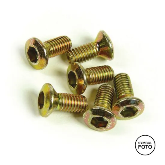 TALON Brake Disc Bolts #1