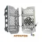 ARTAFON BETA RR 2025-2024 2T RADIATOR GUARDS + FAN RG19 Fan Set 2T