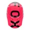 FOX Motocross Sisak V1 Shield MIPS ECE22.06