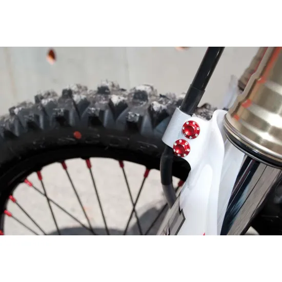 RTECH HOSE HOLDER SCREWS - 100.027.004