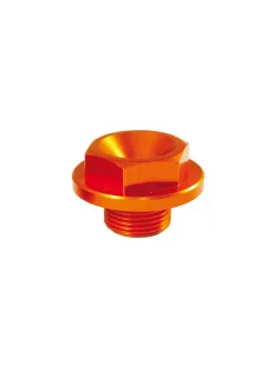 TRIPLE CLAMPS BOLT