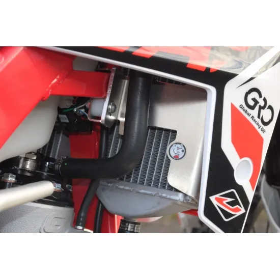 Radiator Braces Red for Gas Gas EC 250 300 (2014-2017) by AX #1