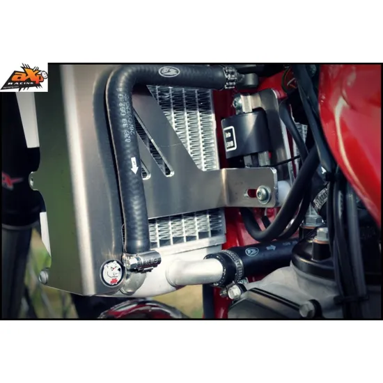Radiator Braces Red Beta RR 250 300 (2014-2018) #1