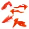 Acerbis Plastic Kits for KTM SX/SXF 2016-2018
