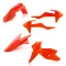 Acerbis Plastic Kits for KTM SX/SXF 2016-2018