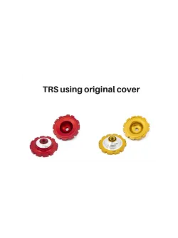S3 TRS Cylinder Head Inserts - Original TRSINS