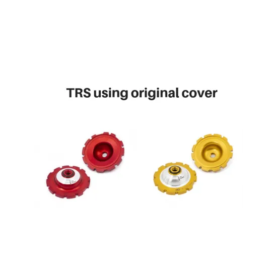 S3 TRS Cylinder Head Inserts - Original TRSINS