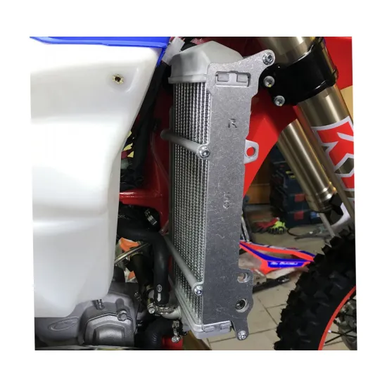 ARTAFON BETA RR 2022-2020 RADIATOR GUARDS RG12 #4